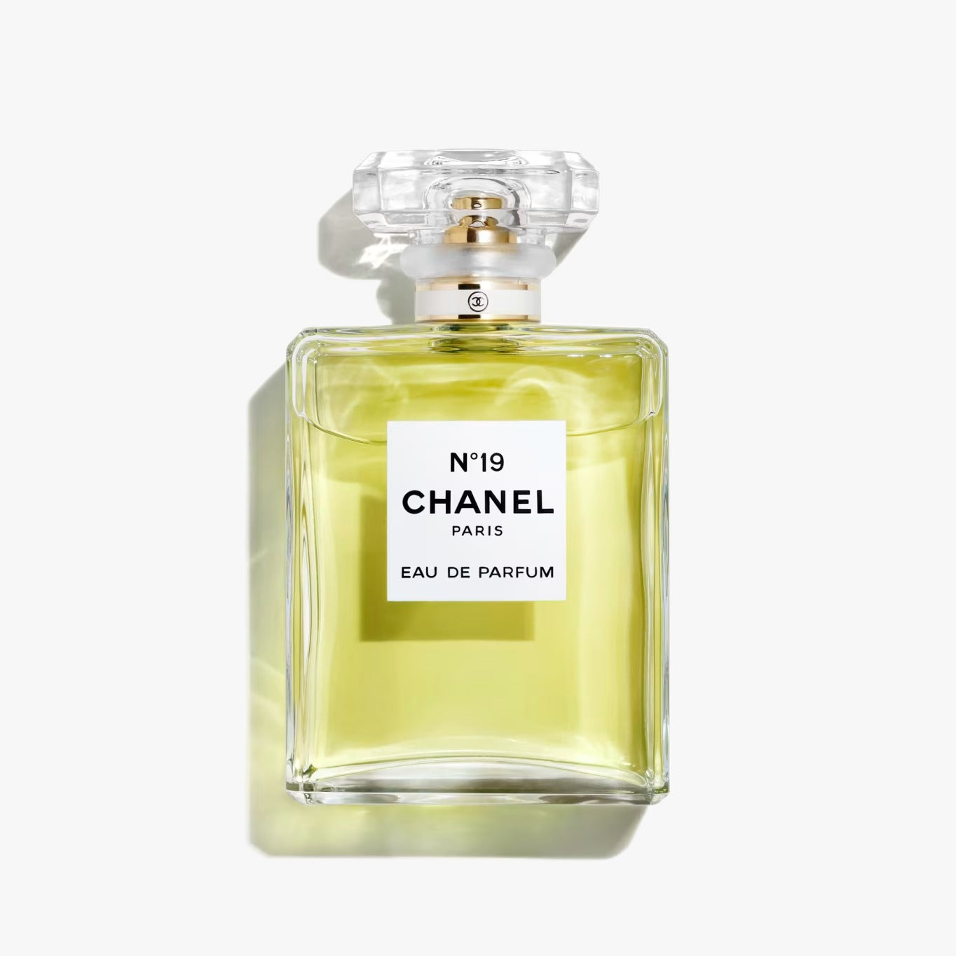 Chanel No 19 Eau de Parfum Chanel For Women 100ML